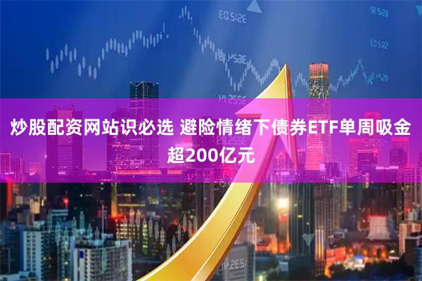 炒股配资网站识必选 避险情绪下债券ETF单周吸金超200亿元